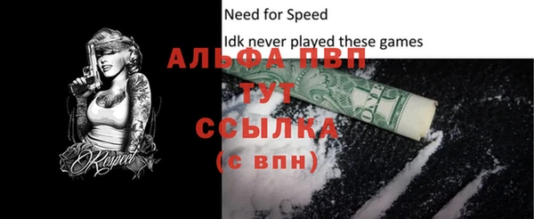 гашик Белоозёрский