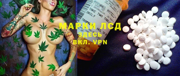 гашик Белоозёрский