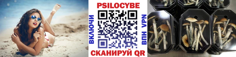 Псилоцибиновые грибы мицелий  Беслан 